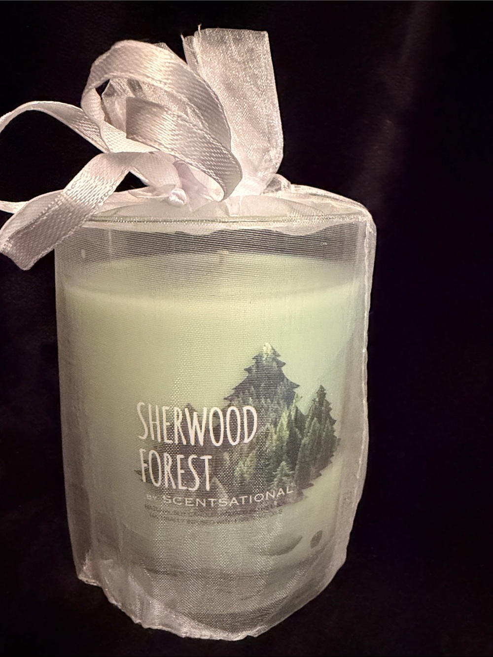 Sherwood Forest Scented Candle - White